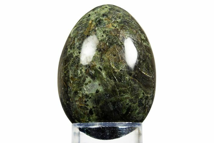 Polished Green Actinolite Egg - California #308744